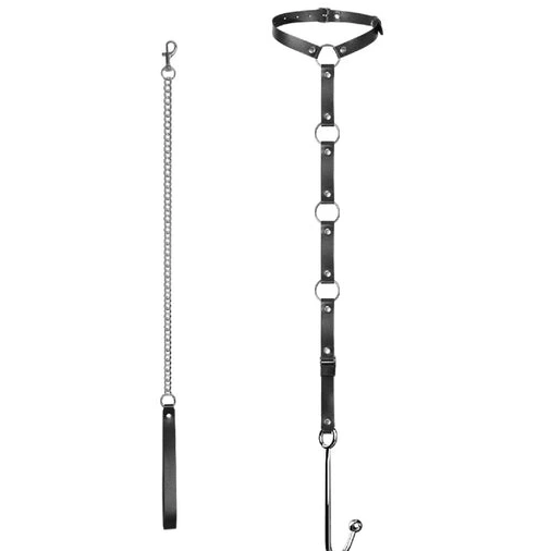 Anal Leash 5853 and Collar Kinky Hook EverydayUse with 1016
